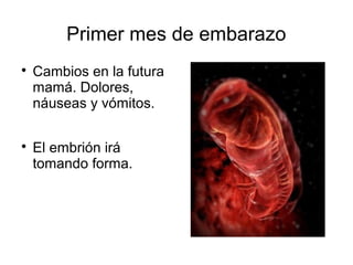 Primer mes de embarazo

Cambios en la futura
mamá. Dolores,
náuseas y vómitos.

El embrión irá
tomando forma.
 