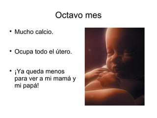 Octavo mes

Mucho calcio.

Ocupa todo el útero.

¡Ya queda menos
para ver a mi mamá y
mi papá!
 