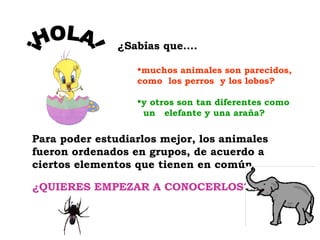 ¿Sabías que….

                  muchos animales son parecidos,
                  como los perros y los lobos?

                  y otros son tan diferentes como
                   un elefante y una araña?

Para poder estudiarlos mejor, los animales
fueron ordenados en grupos, de acuerdo a
ciertos elementos que tienen en común.

¿QUIERES EMPEZAR A CONOCERLOS?
 