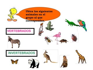 Ubica los siguientes
        animales en el
        grupo al que
        correspondan.



VERTEBRADOS




INVERTEBRADOS
 