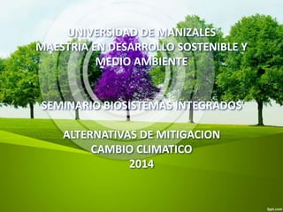 UNIVERSIDAD DE MANIZALES
MAESTRIA EN DESARROLLO SOSTENIBLE Y
MEDIO AMBIENTE
SEMINARIO BIOSISTEMAS INTEGRADOS
ALTERNATIVAS DE MITIGACION
CAMBIO CLIMATICO
2014
 