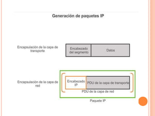 Ppt de capa de transporte y de red