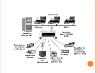 Ppt de capa de transporte y de red