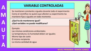 PPT DE CIENCIA INDAGA PRIMARIA y ayuda a mejorar tu practica docente OK ...