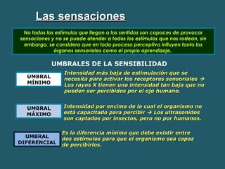 LLaass sseennssaacciioonneess 
No todos los estímulos que llegan a los sentidos son capaces de provocar 
sensaciones y no se puede atender a todos los estímulos que nos rodean, sin 
embargo, se considera que en todo proceso perceptivo influyen tanto los 
órganos sensoriales como el propio aprendizaje. 
UMBRALES DE LA SENSIBILIDAD 
UMBRAL 
MÍNIMO 
UMBRAL 
MÁXIMO 
Intensidad más baja de eessttiimmuullaacciióónn qquuee ssee 
nneecceessiittaa ppaarraa aaccttiivvaarr llooss rreecceeppttoorreess sseennssoorriiaalleess  
LLooss rraayyooss XX ttiieenneenn uunnaa iinntteennssiiddaadd ttaann bbaajjaa qquuee nnoo 
ppuueeddeenn sseerr ppeerrcciibbiiddooss ppoorr eell oojjoo hhuummaannoo.. 
IInntteennssiiddaadd ppoorr eenncciimmaa ddee llaa ccuuaall eell oorrggaanniissmmoo nnoo 
eessttáá ccaappaacciittaaddoo ppaarraa ppeerrcciibbiirr  LLooss uullttrraassoonniiddooss 
ssoonn ccaappttaaddooss ppoorr iinnsseeccttooss,, ppeerroo nnoo ppoorr hhuummaannooss.. 
UMBRAL 
DIFERENCIAL 
EEss llaa ddiiffeerreenncciiaa mmíínniimmaa qquuee ddeebbee eexxiissttiirr eennttrree 
ddooss eessttíímmuullooss ppaarraa qquuee eell oorrggaanniissmmoo sseeaa ccaappaazz 
ddee ppeerrcciibbiirrllooss.. 
 