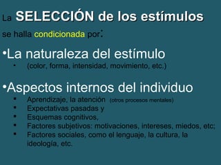 La SSEELLEECCCCIIÓÓNN ddee llooss eessttíímmuullooss 
se halla condicionada por: 
•La naturaleza del estímulo 
• (color, forma, intensidad, movimiento, etc.) 
•Aspectos internos del individuo 
 Aprendizaje, la atención (otros procesos mentales) 
 Expectativas pasadas y 
 Esquemas cognitivos, 
 Factores subjetivos: motivaciones, intereses, miedos, etc; 
 Factores sociales, como el lenguaje, la cultura, la 
ideología, etc. 
 
