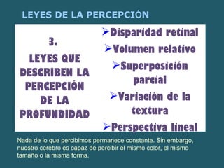 LEYES DE LA PERCEPCIÓN 
3. 
LEYES QUE 
DESCRIBEN LA 
PERCEPCIÓN 
DE LA 
PROFUNDIDAD 
Disparidad retinal 
Volumen relativo 
Superposición 
parcial 
Variación de la 
textura 
Perspectiva lineal 
Nada de lo que percibimos permanece constante. Sin embargo, 
nuestro cerebro es capaz de percibir el mismo color, el mismo 
tamaño o la misma forma. 
 