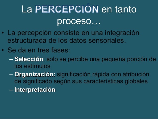 La percepción (y sus fases) la sensaciones