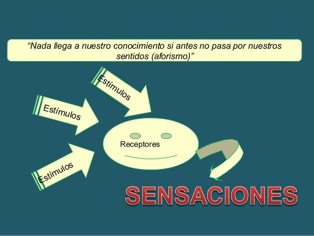 La percepción (y sus fases) la sensaciones