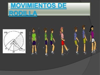 MOVIMIENTOS DE
RODILLA
 