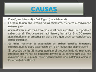 CAUSAS
Fisiológico (bilateral) o Patológico (uni o bilateral)
Se trata de una encurvación de los miembros inferiores a convexidad
externa y se
encuentra su punto más extremo a nivel de las rodillas. Es importante
saber que el niño, desde su nacimiento y hasta los 24 o 30 meses
aproximadamente presenta un genu varo que debe ser considerado
como fisiológico.
Se debe controlar la separación de ambos cóndilos femorales
internos, que no debe pasar los 6 cm (3 o 4 dedos del examinador).
Si después de los 36 meses persiste el arqueamiento de miembros
inferiores del menor, es prudente llevarlo a un control para que sea
evaluado ya que puede estar desarrollando una patología como la
Enfermedad de Blount
 