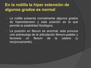 En la rodilla la hiper extensión de
algunos grados es normal
La rodilla presenta normalmente algunos grados
de hiperextension y esta posición es la que
permite la estabilidad fisiológica.
La posición en flexum es anormal, esta provoca
una sobrecarga de la articulación fémoro-patelar y
favorece un flexum de la cadera (y
recíprocamente).
 