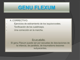 GENU FLEXUM
A .CORRECTIVO:
- Ejercicios de estiramiento de los isquiocrurales.
- Tonificación de los cuádriceps.
- Una corrección en la marcha.
En un adulto:
El genu Flexum puede ser por secuelas de desviaciones de
la infancia, de parálisis, de traumatismo lesiones
subyacentes.
 