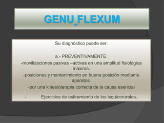 GENU FLEXUM
Su diagnóstico puede ser:
a.- PREVENTIVAMENTE:
-movilizaciones pasivas –activas en una amplitud fisiológica
máxima.
-posiciones y mantenimiento en buena posición mediante
aparatos.
-por una kinesioterapia correcta de la causa esencial
- Ejercicios de estiramiento de los isquiocrurales.
 