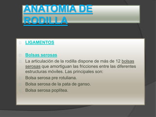 ANATOMIA DE
RODILLA
LIGAMENTOS
Bolsas serosas
La articulación de la rodilla dispone de más de 12 bolsas
serosas que amortiguan las fricciones entre las diferentes
estructuras móviles. Las principales son:
Bolsa serosa pre rotuliana.
Bolsa serosa de la pata de ganso.
Bolsa serosa poplítea.
 