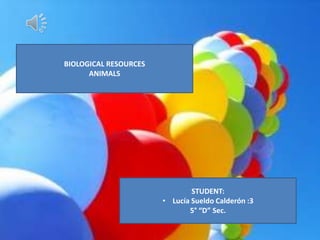 BIOLOGICAL RESOURCES
      ANIMALS




                               STUDENT:
                       • Lucía Sueldo Calderón :3
                              5° “D” Sec.
 