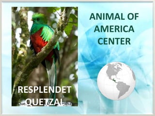 BIOLOGICAL RESOURCES - ANIMALS