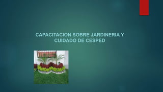 CAPACITACION SOBRE JARDINERIA Y
CUIDADO DE CESPED
 