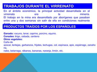 TRABAJOS DURANTE EL VIRREINATO
En el ámbito económico, la principal actividad desarrollada en el
virreinato
era
la
minería.
El trabajo en la mina era desarrollado por aborígenes que pasaban
entre una y dos semanas sin salir de ella en condiciones realmente
duras.

PRODUCTOS TRAÍDOS POR LOS ESPAÑOLES
Ganado: vacuno, lanar, caprino, porcino, equino.
Cereales: trigo, cebada, centeno
Otros vegetales:
Caña de
azúcar, lentejas, garbanzos, frijoles, lechugas, col, espinaca, apio, espárrago, zanaho
ria,
nabo, betarraga, rábanos, bananas, naranja, limón, etc.

 