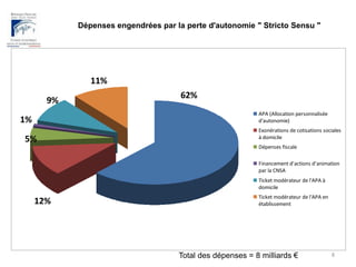 Dépenses engendrées par la perte d'autonomie " Stricto Sensu "8Total des dépenses = 8 milliards €