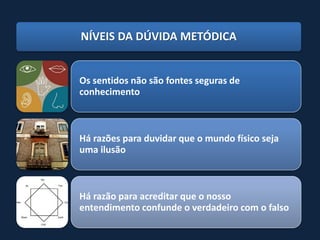 NÍVEIS DA DÚVIDA METÓDICA


Os sentidos não são fontes seguras de
conhecimento



Há razões para duvidar que o mundo físico seja
uma ilusão



Há razão para acreditar que o nosso
entendimento confunde o verdadeiro com o falso
 