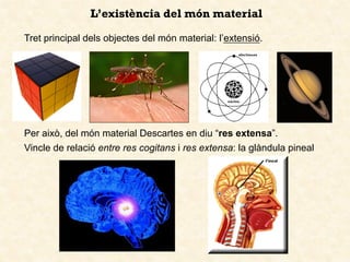 L’existència del món material
Tret principal dels objectes del món material: l’extensió.
Per això, del món material Descartes en diu “res extensa”.
Vincle de relació entre res cogitans i res extensa: la glàndula pineal
 
