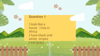 Question 1
I look like a
horse I live in
Africa
I have black and
white stripes
I eat grass
 