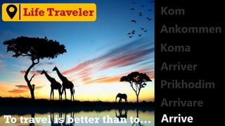 To travel is better than to…
Life Traveler
 