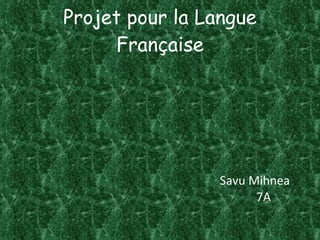 Projet pour la Langue Française ,[object Object],[object Object]