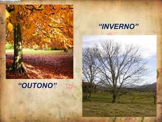 “INVERNO”

“OUTONO”

 