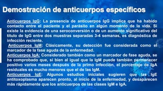 Anticuerpos IgG: La presencia de anticuerpos IgG implica que ha habido
contacto entre el paciente y el parásito en algún momento de la vida. Si
existe la evidencia de una seroconversión o de un aumento significativo del
título de IgG entre dos muestras separadas 3-4 semanas, es diagnóstica de
infección reciente.
Anticuerpos IgM: Clásicamente, su detección fue considerada como el
marcador de la fase aguda de la enfermedad.
Anticuerpos IgA: Considerado también como un marcador de fase aguda, se
ha comprobado que, si bien al igual que la IgM puede también permanecer
positivo varios meses después de la primo infección, el porcentaje de IgA
residuales es mucho menores que el de las IgM.
Anticuerpos IgE: Algunos estudios iniciales sugieren que las IgE
antitoxoplasma aparecen pronto, al inicio de la enfermedad, y desaparecen
más rápidamente que los anticuerpos de las clases IgM e IgA.
 