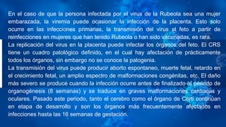 En el caso de que la persona infectada por el virus de la Rubeola sea una mujer
embarazada, la viremia puede ocasionar la infección de la placenta. Esto solo
ocurre en las infecciones primarias, la transmisión del virus al feto a partir de
reinfecciones en mujeres que han tenido Rubeola o han sido vacunadas, es rara.
La replicación del virus en la placenta puede infectar los órganos del feto. El CRS
tiene un cuadro patológico definido, en el cual hay afectación de prácticamente
todos los órganos, sin embargo no se conoce la patogenia.
La transmisión del virus puede producir aborto espontaneo, muerte fetal, retardo en
el crecimiento fetal, un amplio espectro de malformaciones congénitas, etc. El daño
más severo se produce cuando la infección ocurre antes de finalizado el periodo de
organogénesis (8 semanas) y se traduce en graves malformaciones cardiacas y
oculares. Pasado este periodo, tanto el cerebro como el órgano de Corti continúan
en etapa de desarrollo y son los órganos más frecuentemente afectados en
infecciones hasta las 16 semanas de gestación.
 