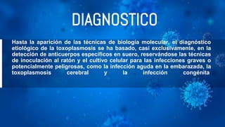 DIAGNOSTICO
Hasta la aparición de las técnicas de biología molecular, el diagnóstico
etiológico de la toxoplasmosis se ha basado, casi exclusivamente, en la
detección de anticuerpos específicos en suero, reservándose las técnicas
de inoculación al ratón y el cultivo celular para las infecciones graves o
potencialmente peligrosas, como la infección aguda en la embarazada, la
toxoplasmosis cerebral y la infección congénita.
 