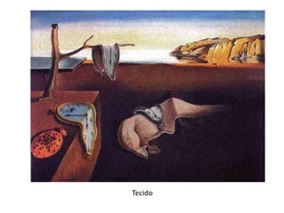 Tecido
 