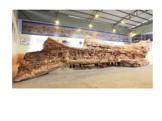 PPT PC ANOS INICIAIS 28-03-2014