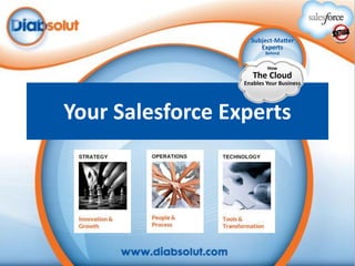 Your Salesforce Experts

 