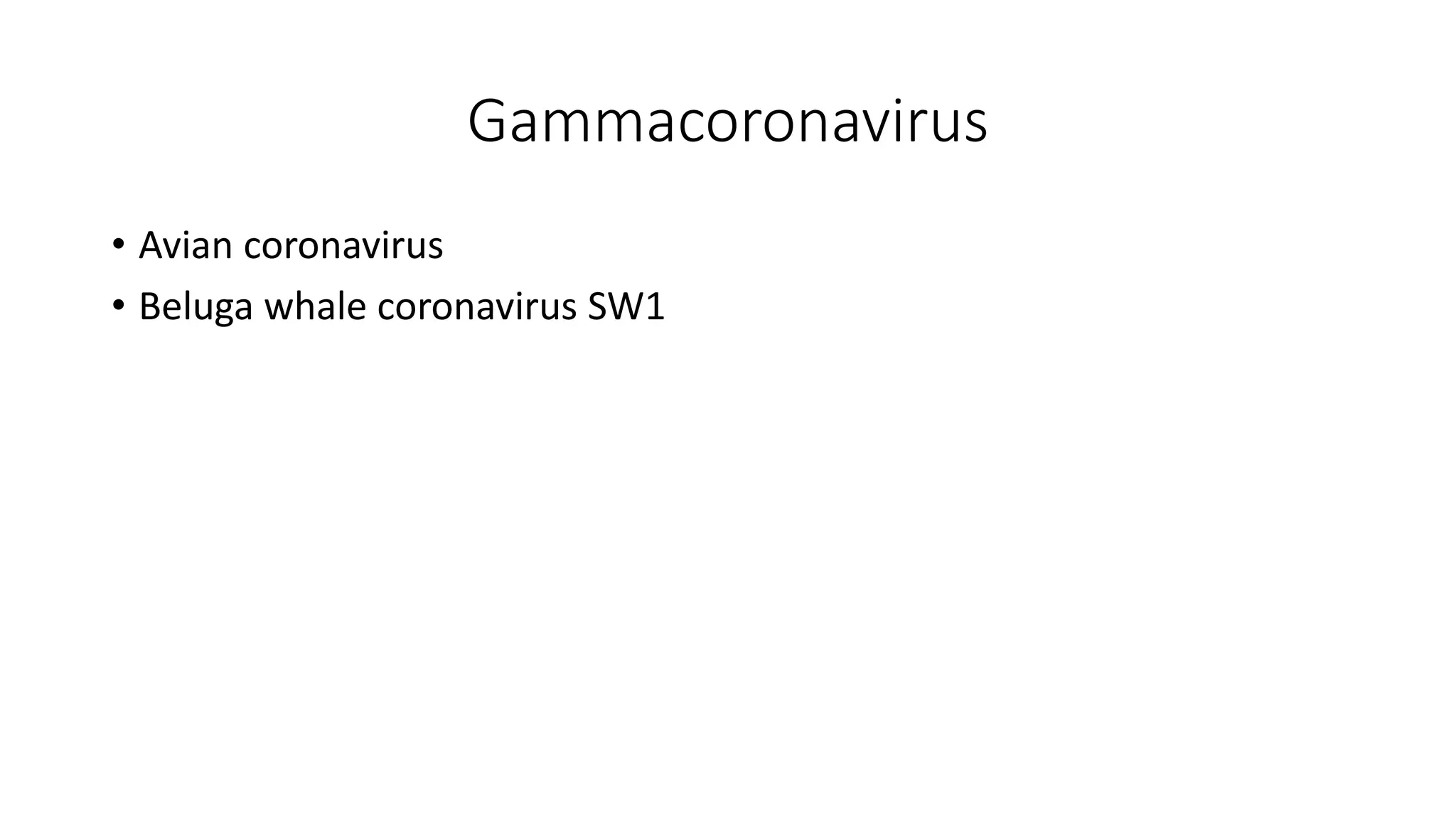 Gammacoronavirus
• Avian coronavirus
• Beluga whale coronavirus SW1
 