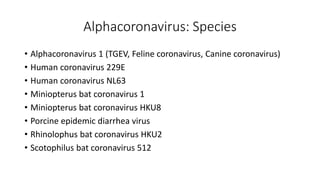 Alphacoronavirus: Species
• Alphacoronavirus 1 (TGEV, Feline coronavirus, Canine coronavirus)
• Human coronavirus 229E
• Human coronavirus NL63
• Miniopterus bat coronavirus 1
• Miniopterus bat coronavirus HKU8
• Porcine epidemic diarrhea virus
• Rhinolophus bat coronavirus HKU2
• Scotophilus bat coronavirus 512
 