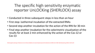 The specific high sensitivity enzymatic
reporter UnLOCKing (SHERLOCK) assay
• Conducted in three subsequent steps in less than an hour
• First step: isothermal incubation of the extracted RNAs
• Second step another incubation for the action of the RPA for 30 min
• Final step another incubation for the colorimetric visualization of the
results for at least 2 min enhanced by the action of the Cas‐12 or
Cas‐13
Patchsung M, Jantarug K, Pattama A, et al. Clinical validation of a Cas13‐based assay for the detection of SARS‐CoV‐2 RNA. Nat Biomed Eng. 2020;4:1140‐1149
 
