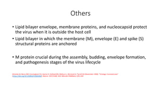 Others
• Lipid bilayer envelope, membrane proteins, and nucleocapsid protect
the virus when it is outside the host cell
• Lipid bilayer in which the membrane (M), envelope (E) and spike (S)
structural proteins are anchored
• M protein crucial during the assembly, budding, envelope formation,
and pathogenesis stages of the virus lifecycle
Almeida JD, Berry DM, Cunningham CH, Hamre D, Hofstad MS, Mallucci L, McIntosh K, Tyrrell DA (November 1968). "Virology: Coronaviruses"
(https://doi.org/10.1038%2F220650b0). Nature. 220 (5168): 650. Bibcode:1968Natur.220..650
 