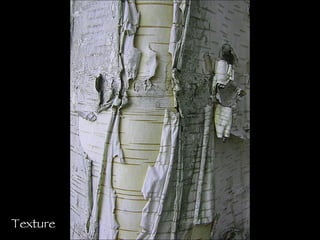 Texture 