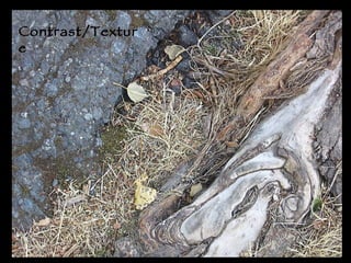 Contrast/Texture 
