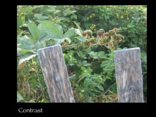 Contrast 