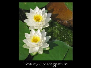 Texture/Repeating pattern 