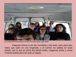 Después fuimos a ver las montañas y las aves, pero para eso,
había que subir en una furgoneta, y el camino no estaba en buen
estado, por lo que el coche iba dando botes. Llegamos arriba y vimos
muchos buitres pero tan solo un águila.
En la furgoneta del Parque Natural. Allí vimos los buitres negros y algún águila.
 