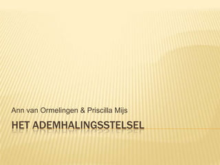 Ann van Ormelingen & Priscilla Mijs

HET ADEMHALINGSSTELSEL
 