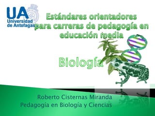 Roberto Cisternas Miranda
Pedagogía en Biología y Ciencias
 