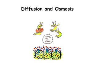 Diffusion and Osmosis
 