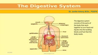 Dt. Jenifer Antony M.Sc., PGDFN
The digestive system
consists of the parts of
the body that work
together to turn food and
liquids into the building
blocks and fuel that the
body needs.
4/5/2020
www.nutrigiene.com
1
 