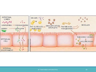 BY THANYAMON CHATURAVITKUL 43
 